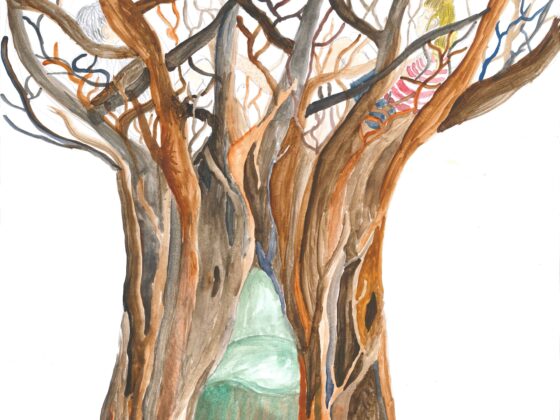The garden we live in (workshop)